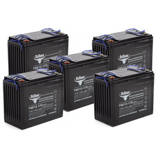 RuTrike TNE 12-170 (60V135A/H C3) RuTrike TNE 12-170 (60V135A/H C3)