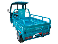Электротрицикл Rutrike Глобус NEXT 1500 60V1200W