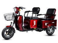 Электротрицикл E-trike Pass Cargo