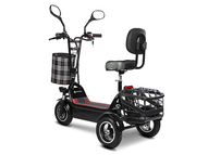 Электротрицикл TRION Partner MX 12 PRO