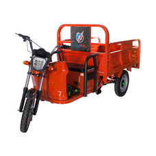 Trike Heavy-Load Trike Heavy-Load