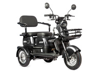 Электротрицикл Rutrike Пилот
