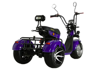 Электротрицикл IKINGI М7 PRO TRIKE