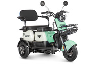 Электротрицикл Rutrike Gelbert Vega 48V/60V 600Вт (зеленый)