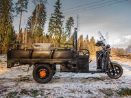 Электротрицикл Rutrike D4 1800 с блокировкой заднего моста 60V1200W LUX