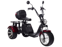 SKYBOARD TRIKE BR80