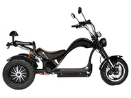 Электротрицикл SKYBOARD Elbrus Chopper-4000 Harrow