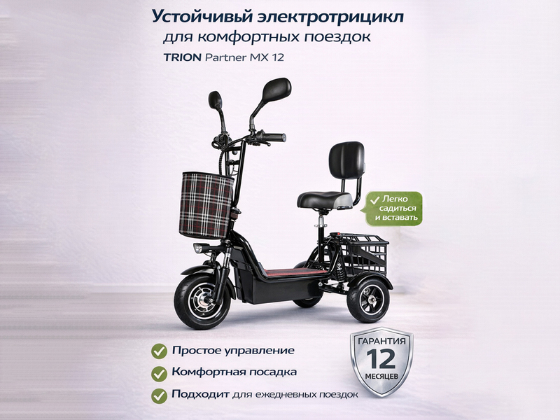 Электротрицикл TRION Partner MX 12 (36V / 15AH)