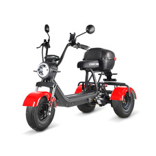 WHITE SIBERIA TRIKE MINI 1500W