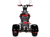 Электротрицикл SKYBOARD TRIKE BR40-3000 PRO