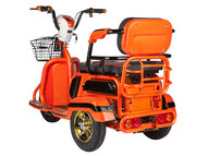 Электротрицикл ANT 500W 48V