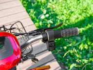 Электротрицикл Elbike Адъютант Double A3
