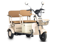 Электротрицикл Rutrike Gelbert Atlas 48V/60V 600Вт (зеленый)