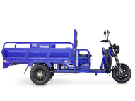 Электротрицикл Rutrike D4 1800 60V1500W