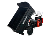 Электротрицикл WHITE SIBERIA SIBTRIKE CARGO 1.6