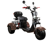 Электротрицикл SKYBOARD Irtysh TRIKE BR40-3000 PRO FAST OFF-ROAD