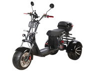 Электротрицикл SKYBOARD TRIKE BR60-3000 PRO