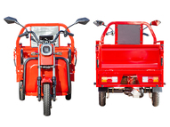 Электротрицикл Rutrike Амулет 1100 60V650W