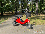 Электротрицикл TRION Partner NOVA