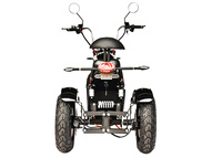 Электротрицикл SKYBOARD Elbrus Chopper-4000 Harrow