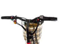 Электротрицикл OxyVolt HandyTrike 3