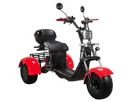 Электротрицикл SKYBOARD TRIKE BR40-3000 PRO
