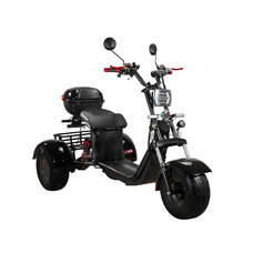 SKYBOARD TRIKE BR40-3000 PRO FAST