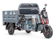 Электротрицикл Rutrike Антей Pro 1500 60V1200W Электротрицикл Rutrike Антей Pro 1500 60V1200W