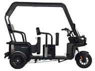 Электротрицикл Wanshida NIPLA 570 60V 1000Вт