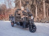 Электротрицикл Rutrike D4 1800 с блокировкой заднего моста 60V1200W LUX