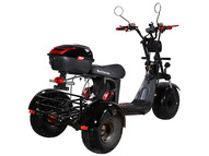 Электротрицикл SKYBOARD TRIKE BR40-3000 PRO FAST