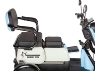 Электротрицикл Rutrike Gelbert Vega 48V/60V 600Вт (красный)