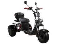 Электротрицикл SKYBOARD TRIKE BR40-3000 PRO Электротрицикл SKYBOARD TRIKE BR40-3000 PRO