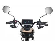 Электротрицикл Rutrike Gelbert Atlas 48V/60V 600Вт (зеленый)