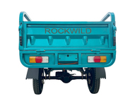 Электротрицикл Rockwild Cargo C6