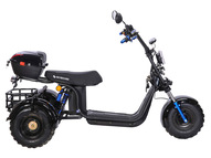Электротрицикл SKYBOARD Irtysh TRIKE BR40-3000 PRO FAST OFF-ROAD