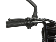 Электротрицикл TRION Partner MX 12 PRO