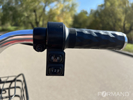 Электротрицикл TRION Transporter DUAL (Черный)