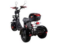 Электротрицикл SKYBOARD TRIKE BR40-3000 PRO FAST
