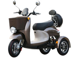 VESPA NEW 48V 20AH 800W