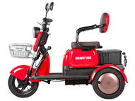 Электротрицикл Gelbert Sun (зеленый) 48V/60V 650Вт