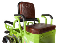 Трицикл Eltreco S1