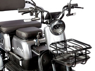 Электротрицикл Rutrike Бумеранг (черный)