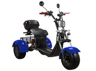 Электротрицикл SKYBOARD TRIKE BR40-3000 PRO FAST