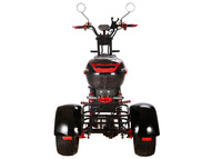 Электротрицикл SKYBOARD TRIKE BR60-3000 PRO