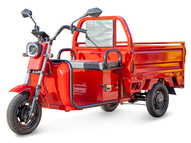 Электротрицикл Rutrike Амулет 1100 60V650W