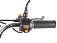 Электротрицикл Gelbert Beta 48V/60V 800Вт (черный)