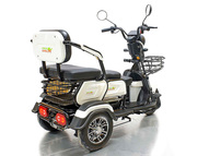 Электротрицикл GreenCamel Фродо X7, белый (60V 500W) дифференциал
