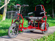 Электротрицикл Elbike Адъютант Double Twix A4