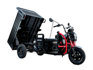 Электротрицикл WHITE SIBERIA SIBTRIKE PRO CARGO